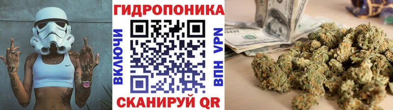 Что такое Александров МАРИХУАНА АМФЕТАМИН Cocaine Гашиш Меф МЕГА сайт Альфа ПВП Псилоцибиновые грибы
