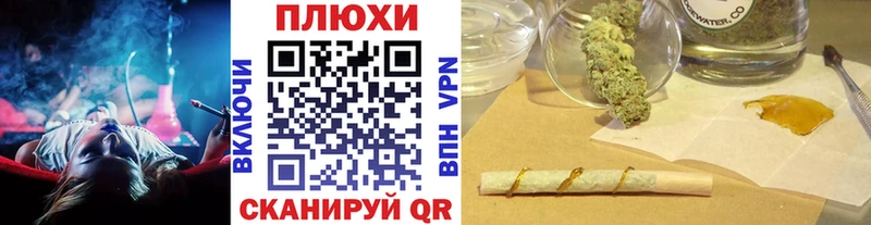 ГАШ Premium  Александров 