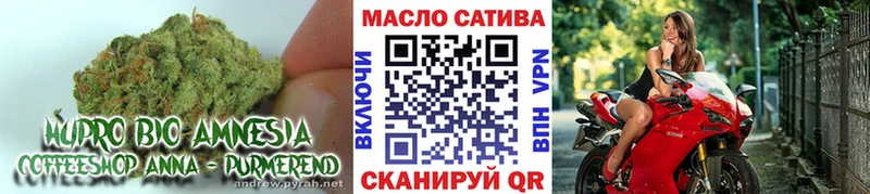 shop как зайти  Александров  ТГК концентрат 