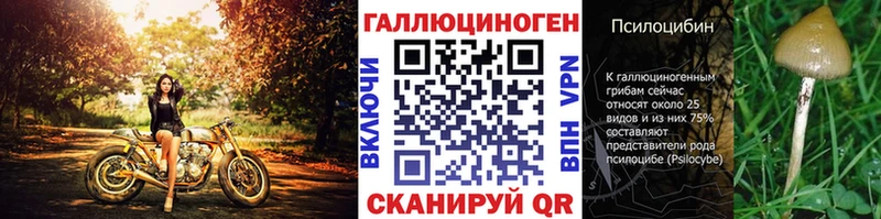 Галлюциногенные грибы Psilocybe  Александров 